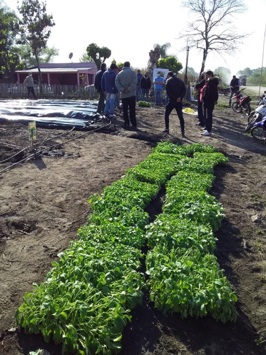 La influencia de la agricultura familiar, campesina e indígena en Tucumán