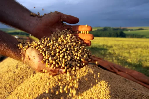 Confederaciones Rurales Argentinas le respondió al Presidente: El agro no retiene soja