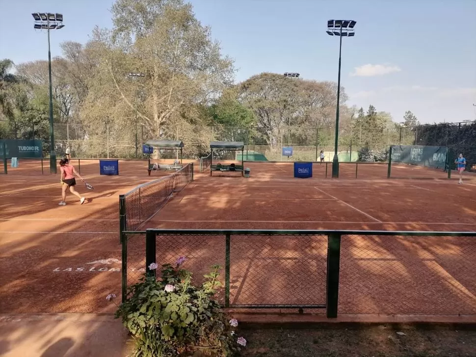 EL LUGAR II. En la zona del pie del cerro San Javier está este “bosque encantado de tenis”.  