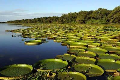Un lugar argentino, en el top ten de destinos para visitar este año del New York Times