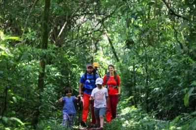 Circuito de las Yungas, conocé una opción inmejorable para vacacionar en la provincia