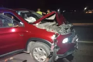 Pidieron criterio a la hora de conducir y responsabilidad a los dueños de los animales