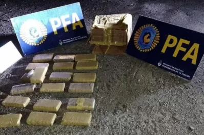 Encontraron 19 kilos de marihuana en un camión que transportaba vacunas contra la covid-19