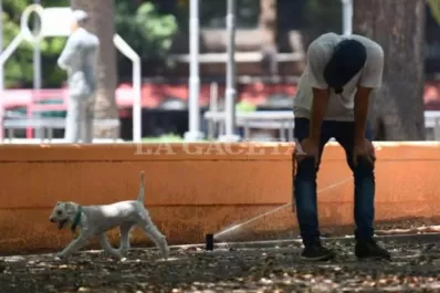 Son más de 40 las ciudades argentinas con temperaturas superiores a los 40°