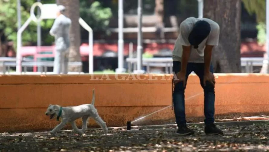 Son más de 40 las ciudades argentinas con temperaturas superiores a los 40°