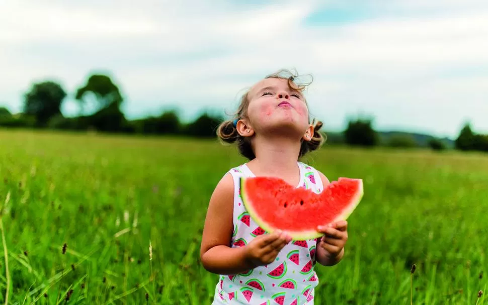 HIDRATACIÓN ASEGURADA. La sandía es una de las frutas que más contienen agua, así que conviene consumirla.  