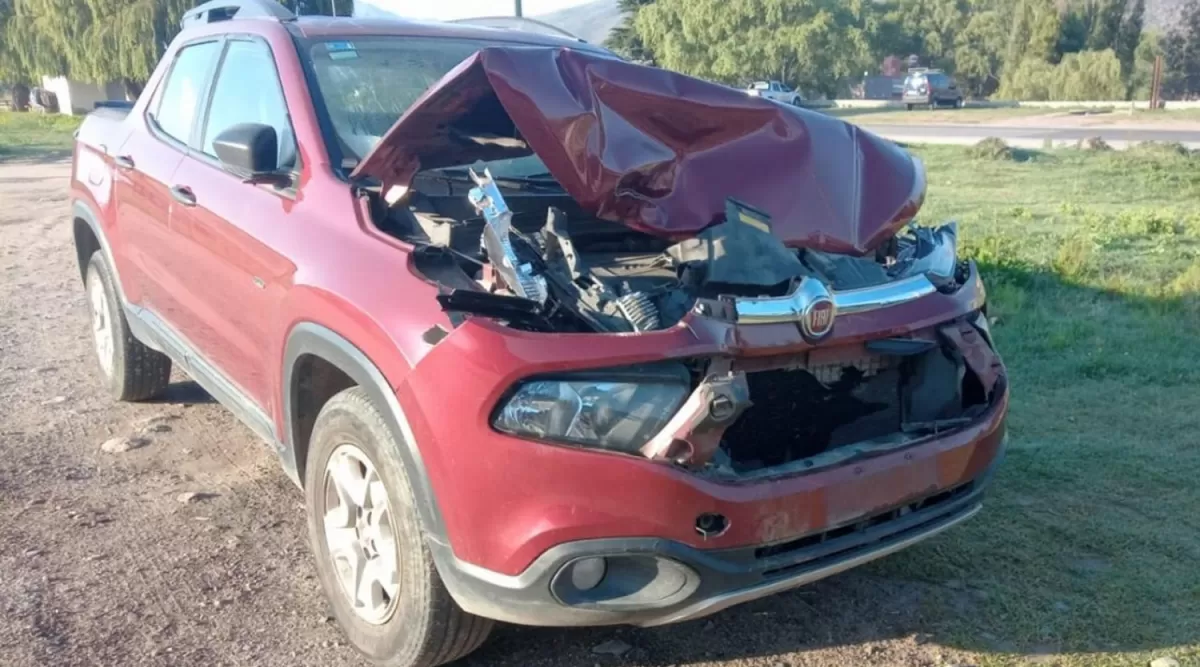 EL ACCIDENTE MÁS RECIENTE. El miércoles, una familia de turistas embistió a un toro en la ruta 307.