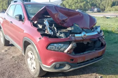 Triplican controles para evitar choques contra animales