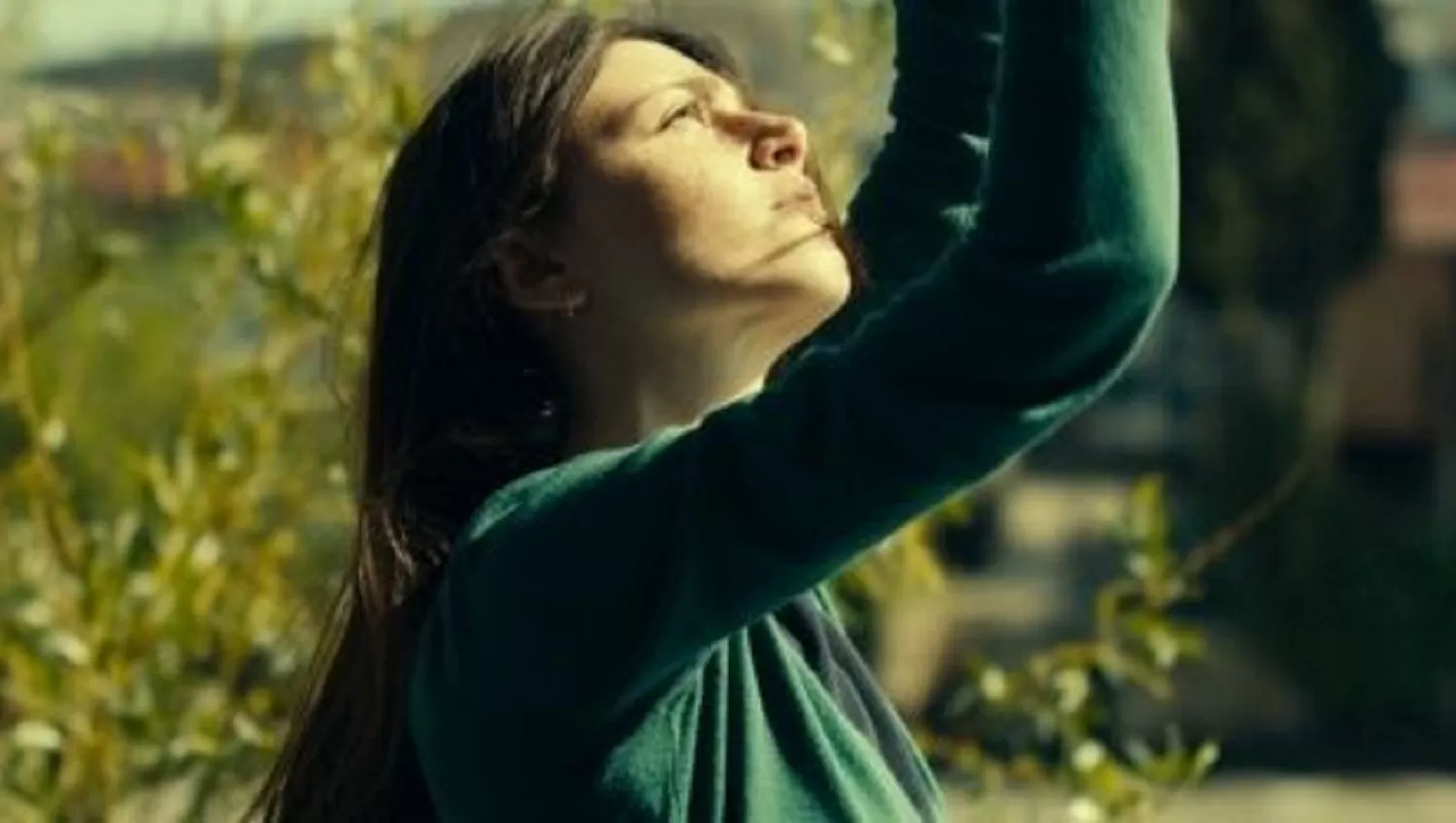 “¿QUÉ VEMOS CUANDO MIRAMOS AL CIELO?” La película obtuvo el Premio del Jurado en Mar del Plata. 