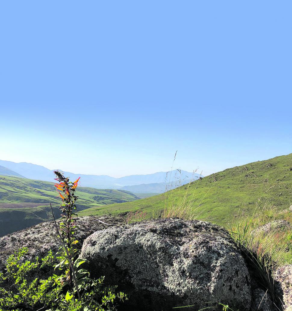 Un viaje por el viejo camino del Tafí 