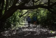 Áreas protegidas: ni hacer fuego ni dejar basura