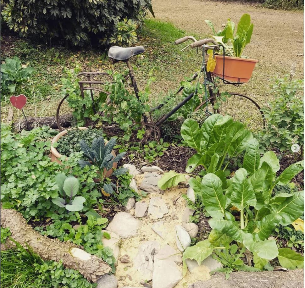SABOR ÚNICO. Las verduras de la huerta son más ricas que las del súper.