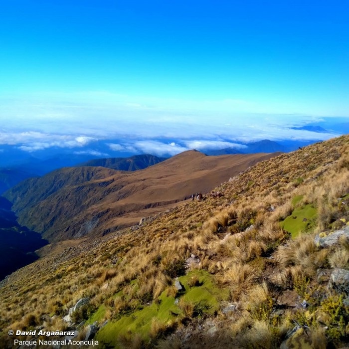 PARQUE ACONQUIJA. Un lugar espectacular para disfrutar de la naturaleza pero sin dañarla prendiendo fuego ni tirando la basura.  foto de david argañaraz