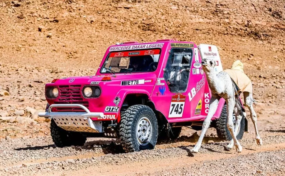 BIEN ACOMPAÑADO. Un pequeño camello corre al lado del coche del francés Laurent Auboueix en la etapa 7.