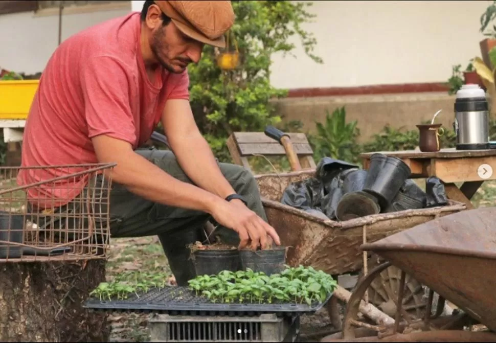 TRABAJO EN CONJUNTO. La huerta es un proyecto en el que se puede involucrar toda la familia. Para muchos es como una terapia también. fotos @huertasagroecologicastuc