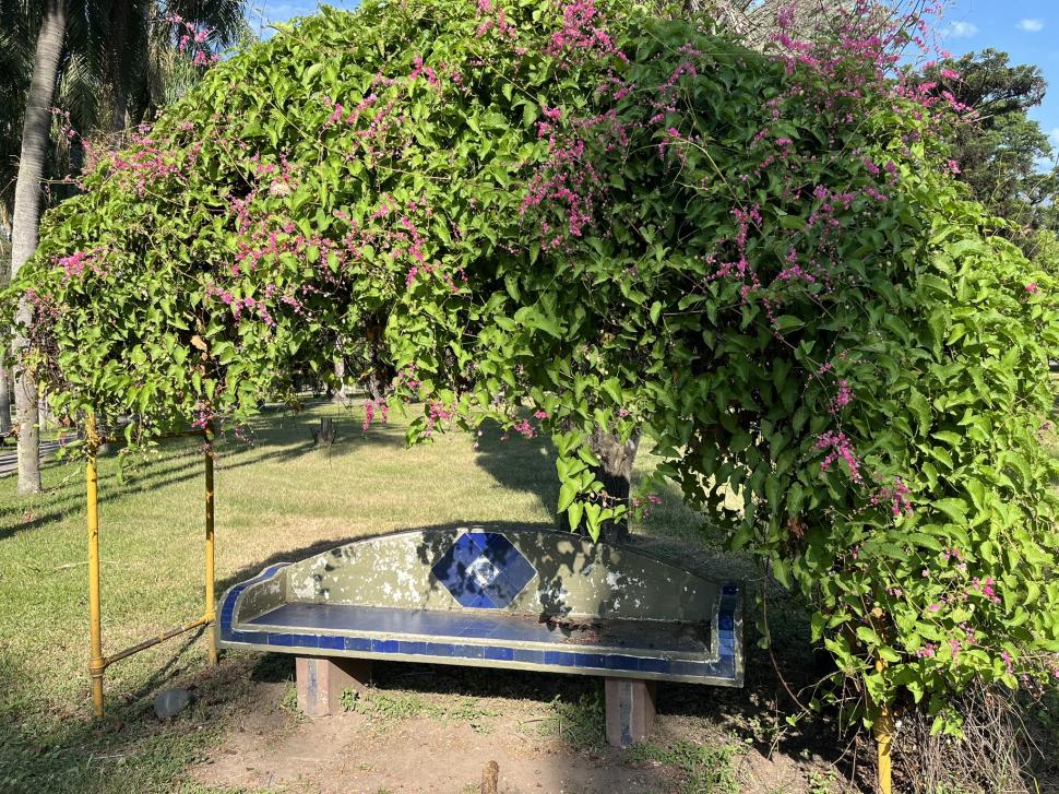 “BANCOS DE ARTE MUNICIPAL”. Este curioso asiento tiene su propia sombra floral.