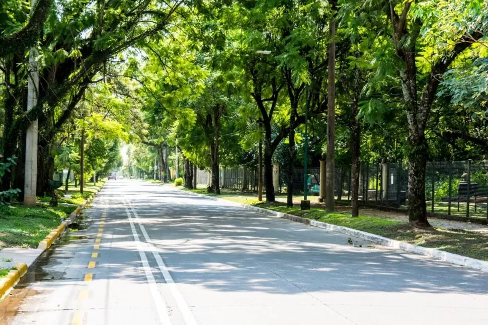 AVANCES. Las ciclovías ya están delimitadas con pintura amarilla. 