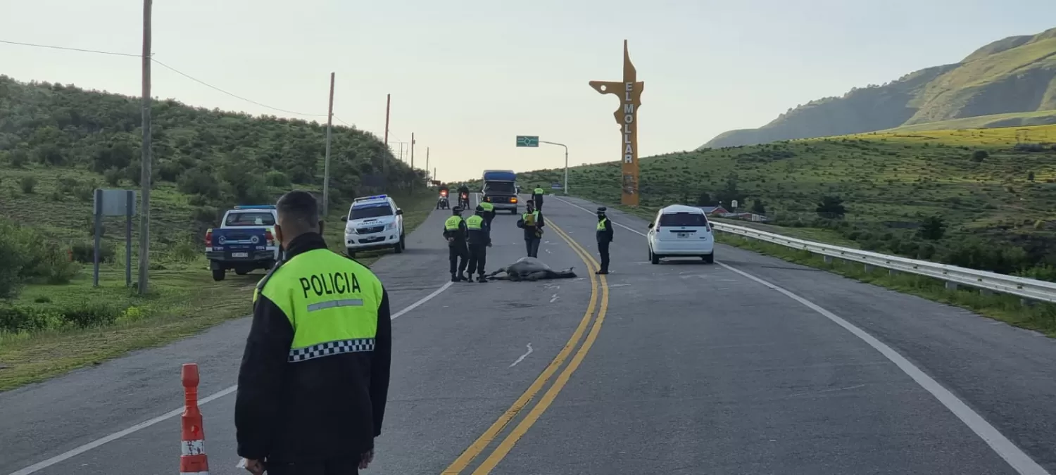 EN EL ACCESO A EL MOLLAR. Efectivos de la comisaría local trabajan en el lugar del accidente.
