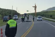 Otra vez, animales sueltos: un auto chocó contra un caballo en el acceso a El Mollar