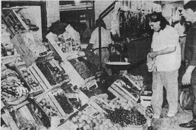 A 30 años de a amenaza del cólera: el mal no llegó, pero dejó secuelas