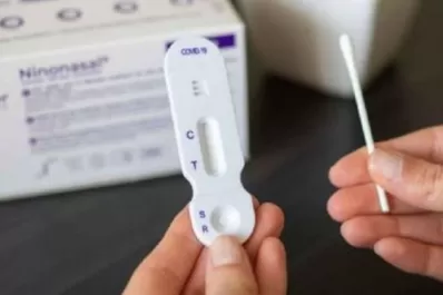 Autotest: el arte de probar, hacer girar el hisopo y lagrimear