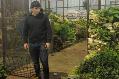 Verduras de hojas: en falta o carísimas, debido al calor de enero