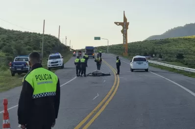 Otra vez, animales sueltos: un auto chocó contra un caballo en el acceso a El Mollar