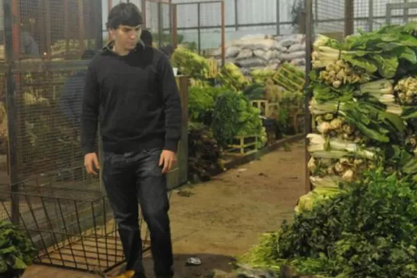 Verduras de hojas: en falta o carísimas, debido al calor de enero