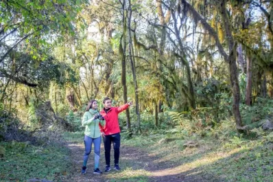 Circuito Sur: naturaleza, tradición y entretenimiento al aire libre