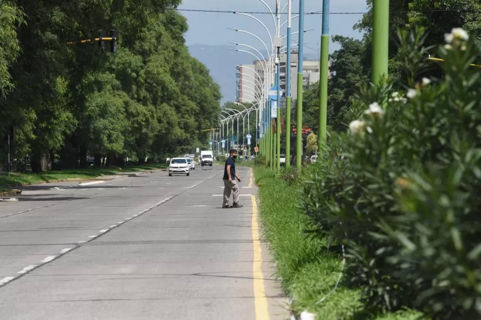 ZONA DE RIESGO. La víctima cruzó por el sector de la platabanda, por delante de un ómnibus y fue embestida por un automóvil.  