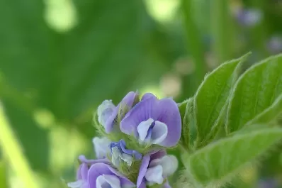 Los granos sintieron un alivio, pero cabe esperar