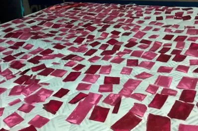 Droga adulterada: diputados tucumanos piden informes al ministro Aníbal Fernández