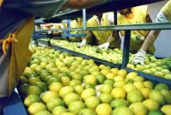 Conflicto Rusia-Ucrania: ¿qué pasa con las exportaciones de Tucumán?