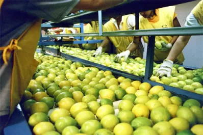 Conflicto Rusia-Ucrania: ¿qué pasa con las exportaciones de Tucumán?