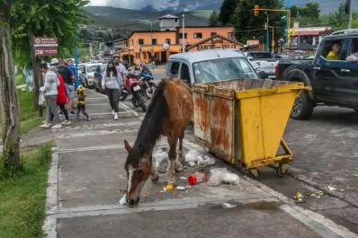El descontrol se hace dueño de Tafí del Valle en plena temporada