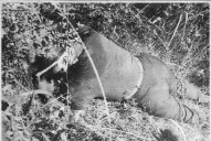 Caso Berardi, segunda parte: La carta no llegó y adelantó el trágico final