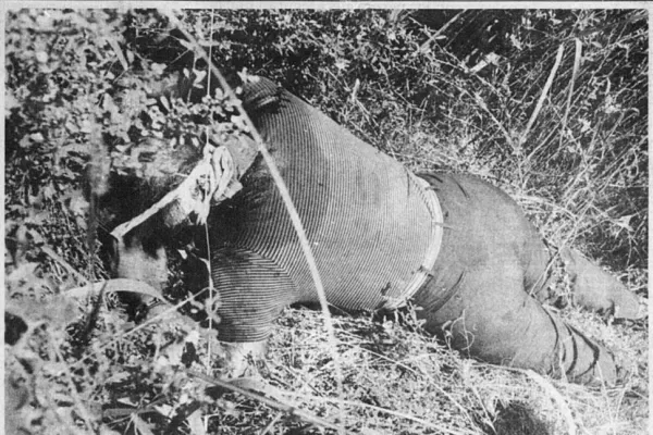 Caso Berardi, segunda parte: La carta no llegó y adelantó el trágico final