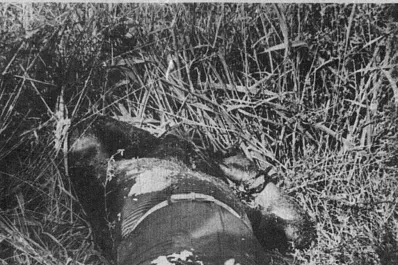 Caso Berardi: el misterio creció en medio de una polémica política