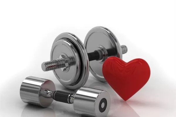 Tres particularidades del corazón y una gran desventaja