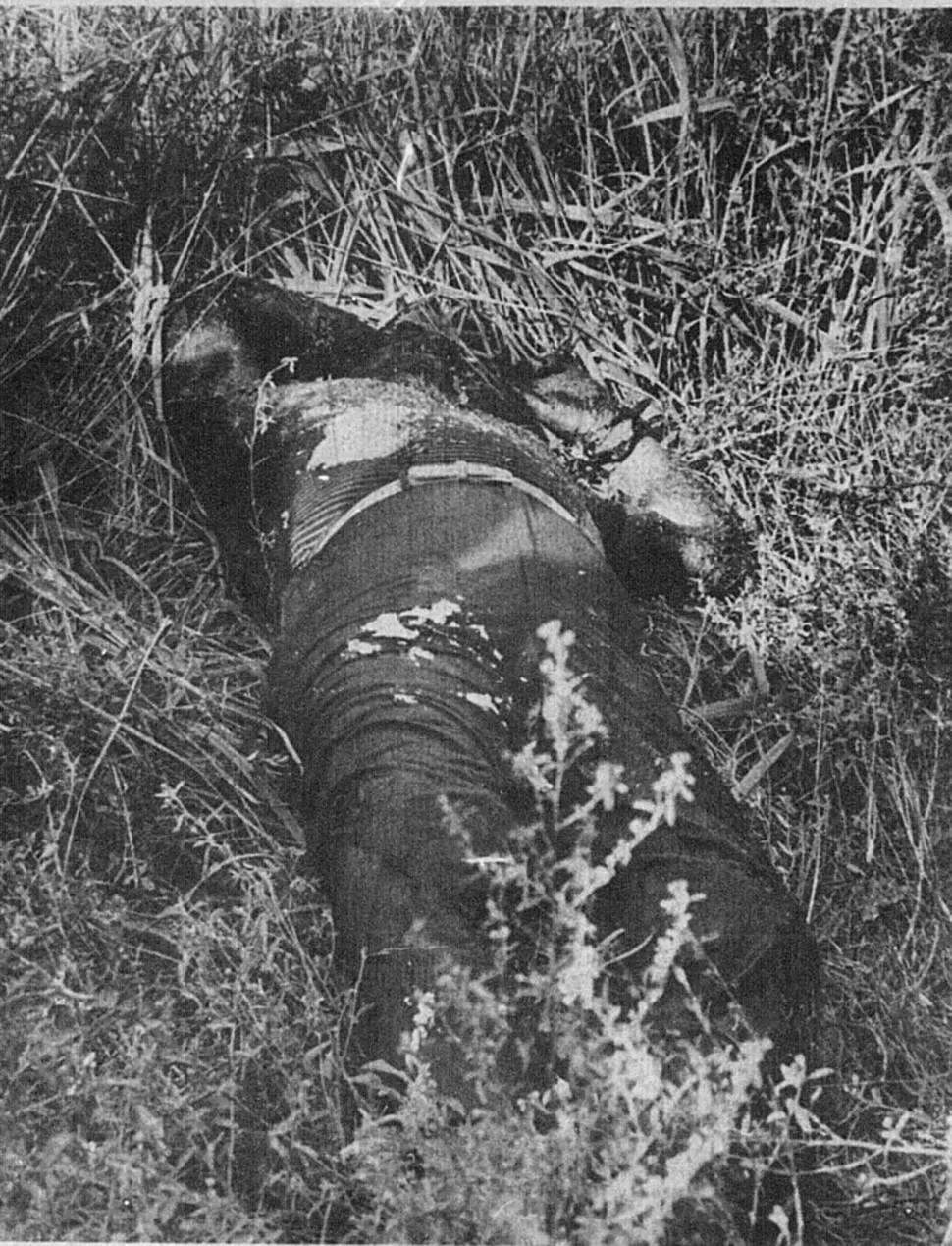 CRUENTO FINAL. A Rafael Berardi lo asesinaron de un disparo en la nuca. 