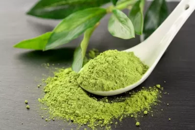 Los caminos del té matcha: ¡poder verde!