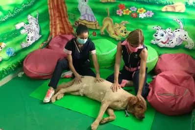 Qué hacer con el cuerpo de tu mascota cuando muere