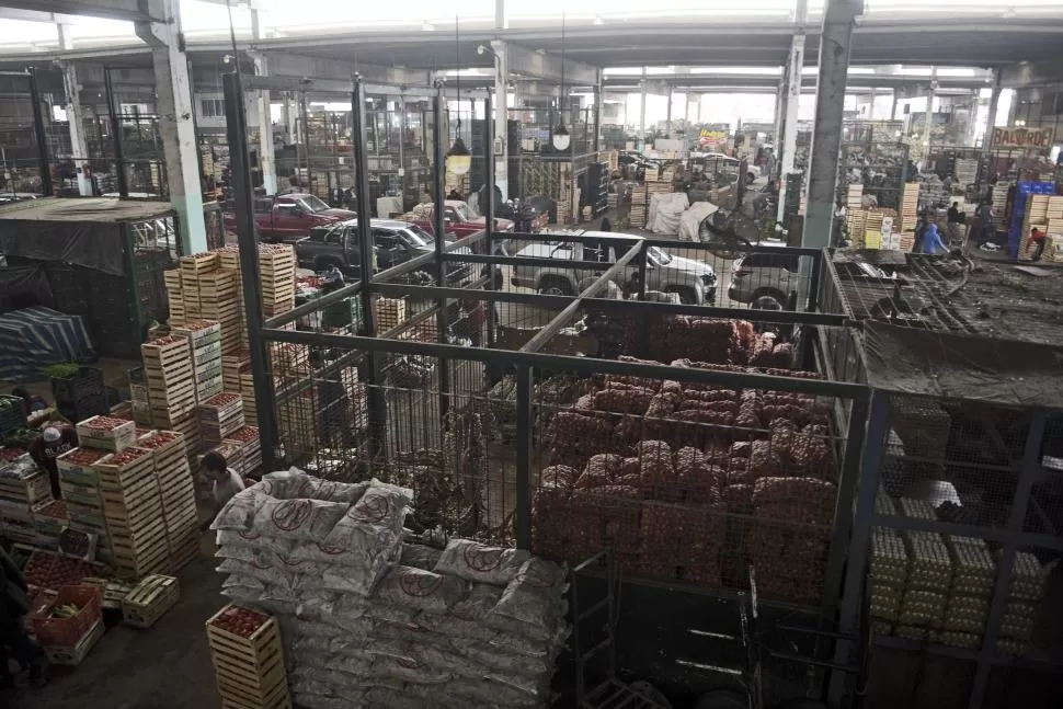 HOJAS CARAS. El cajón de lechuga subió $1.000 en una semana 