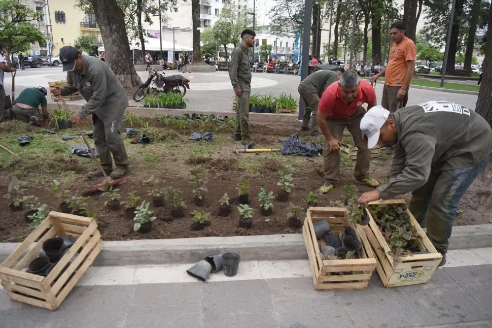 ESPACIOS VERDES. Autoridades municipales indicaron que los vándalos se roban hasta los plantines del principal paseo público de la Capital. 
