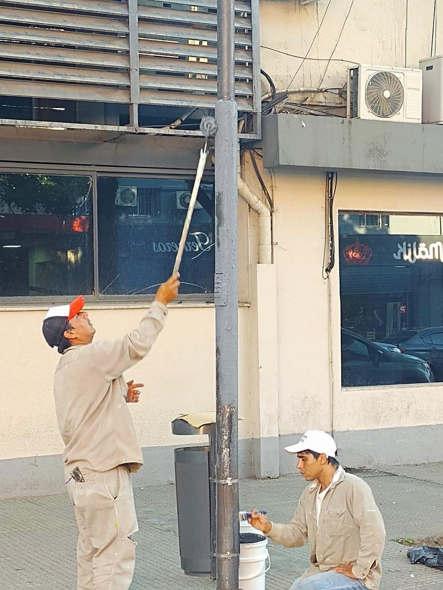 Para evitar las pegatinas, cubren los postes con pintura “antivadálica”