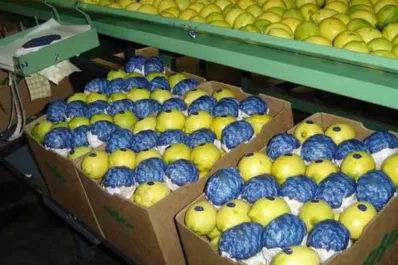 Las exportaciones de Tucumán crecieron 22% con respecto a 2020