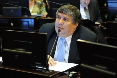 Senado: el jefe del bloque del Frente de Todos puso en duda los votos para el acuerdo del FMI
