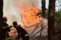 Incendios en Corrientes: el Gobierno destinará $500 millones para los productores afectados