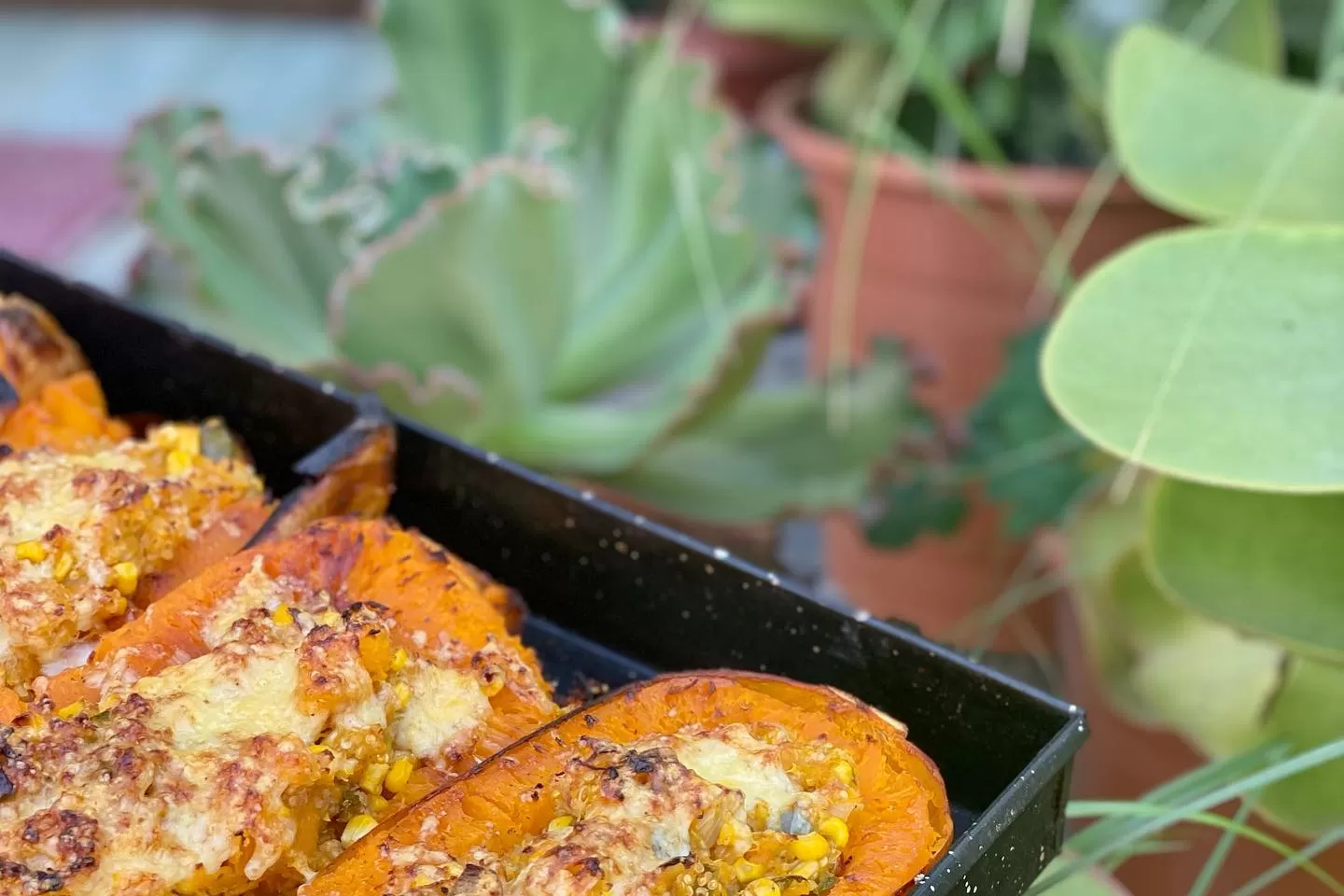 ZAPALLOS RELLENOS CON QUINOA. “Cuando te limpiás por dentro ya no te llama la comida chatarra”. GENTILEZA COCINARTE ESTUDIO DE COCINA