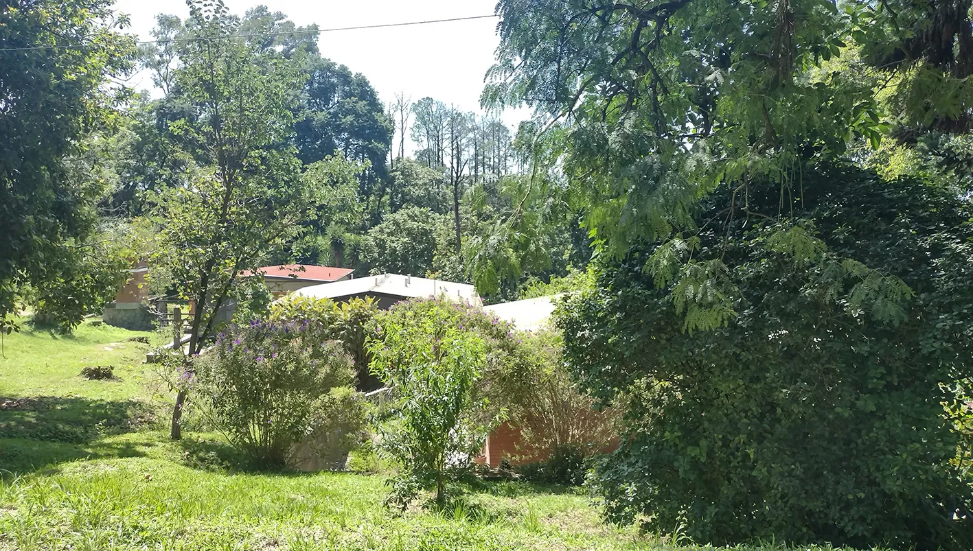 ESTUDIO. Urbanizar zonas rurales puede ayudar a generar bosques y a recuperar biodiversidad. IMAGEN TOMADA DEL SITIO DEL CONICET NOA-SUR